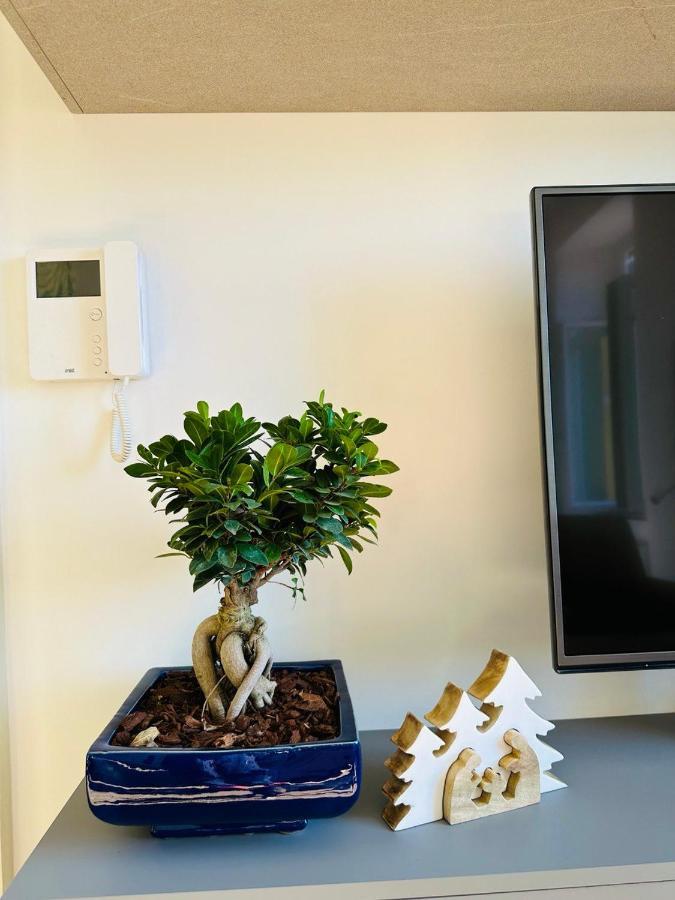 Alocasia Luxury Stay Salernes Extérieur photo